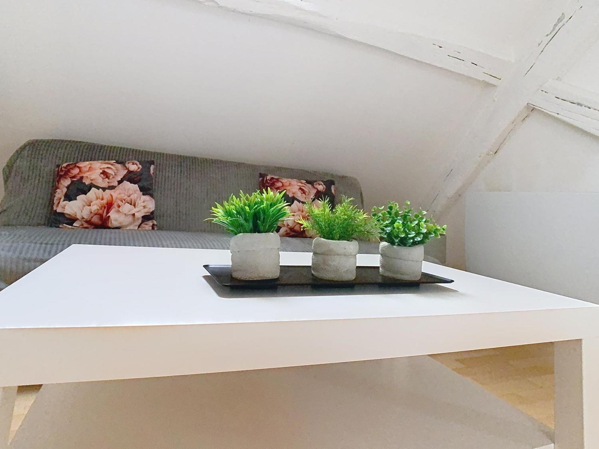 Le Perchoir Appartement *